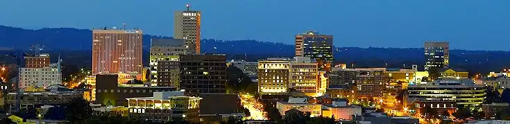 Downtown Greenville, SC skyline at night